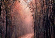 意甲综合：那不勒斯榜首大战逼平国际米兰.