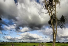 [国内球]“雄安杯”京津冀青少年球联赛落幕.