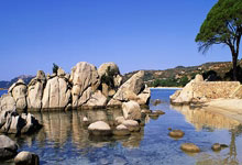 爱游戏：韩国棋院就LG杯争议致歉 将与中日棋院讨论统一规则2025-01-29.